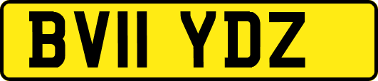 BV11YDZ