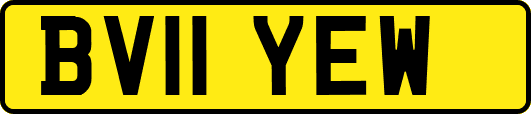 BV11YEW