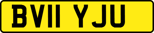 BV11YJU