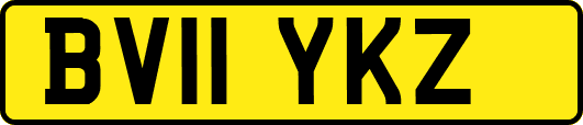 BV11YKZ