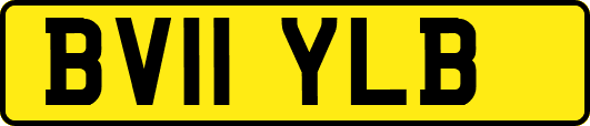 BV11YLB