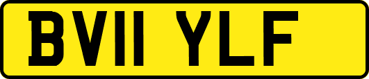 BV11YLF