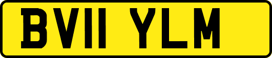 BV11YLM
