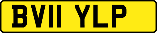 BV11YLP