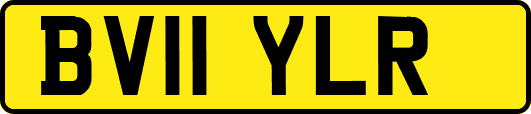 BV11YLR