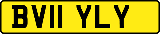 BV11YLY