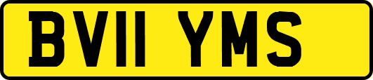 BV11YMS