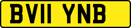BV11YNB