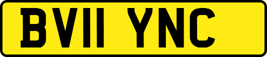 BV11YNC