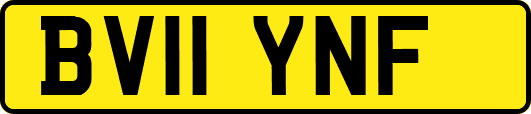 BV11YNF