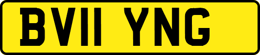 BV11YNG