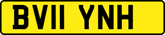 BV11YNH