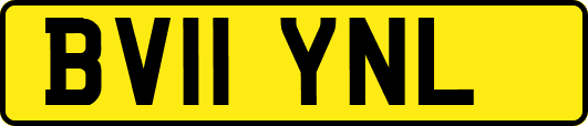 BV11YNL