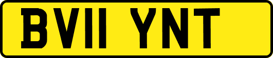 BV11YNT