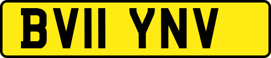 BV11YNV