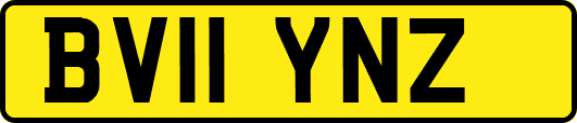 BV11YNZ