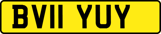 BV11YUY