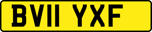 BV11YXF