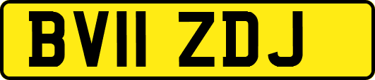 BV11ZDJ