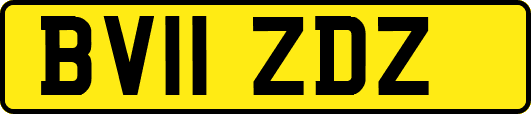 BV11ZDZ