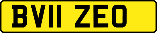 BV11ZEO