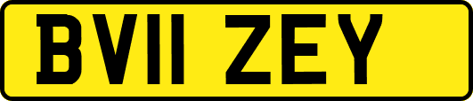 BV11ZEY