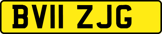 BV11ZJG