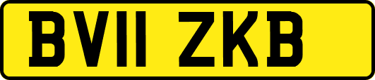 BV11ZKB