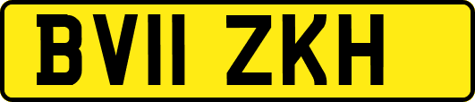 BV11ZKH