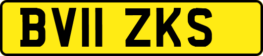 BV11ZKS