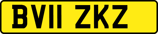 BV11ZKZ