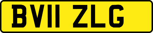 BV11ZLG