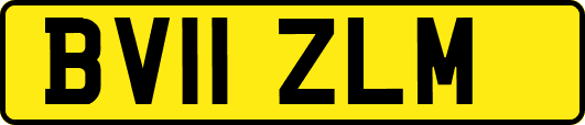 BV11ZLM