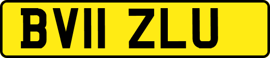 BV11ZLU