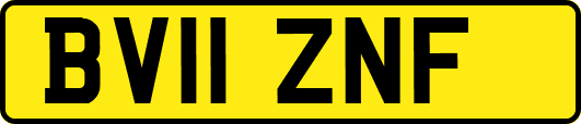 BV11ZNF