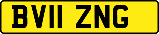 BV11ZNG