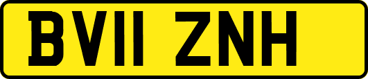 BV11ZNH