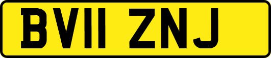 BV11ZNJ