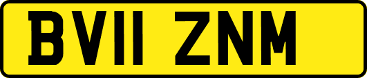 BV11ZNM