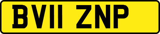 BV11ZNP