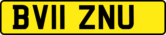 BV11ZNU