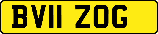 BV11ZOG
