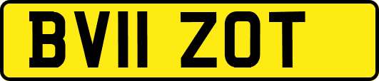BV11ZOT