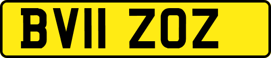 BV11ZOZ