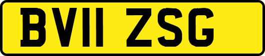BV11ZSG