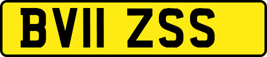 BV11ZSS