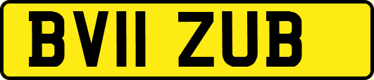 BV11ZUB