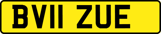 BV11ZUE