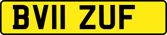 BV11ZUF