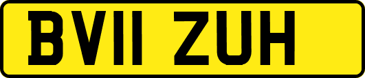 BV11ZUH